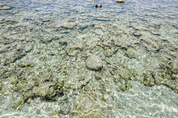 安达曼亚洲吸引海湾海滩