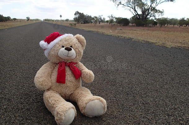圣诞泰迪熊在路上