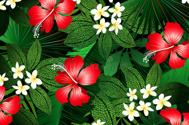 详细的热带花卉和植物插图