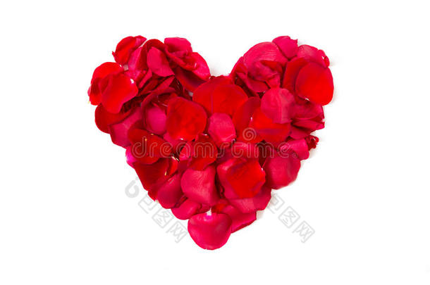 特写红色玫瑰花瓣的心形