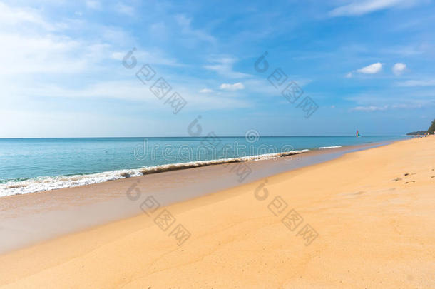 在荒凉的海滩上的金黄色沙子