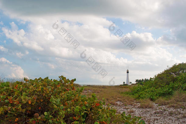 佛罗里达角灯塔，海滩，植被，比尔巴格斯佛罗里达州州立公园，保护区，草叶，关键比斯坎