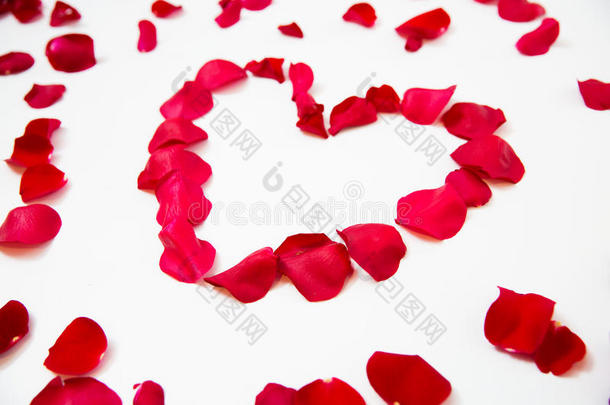 特写红色玫瑰花瓣的心形