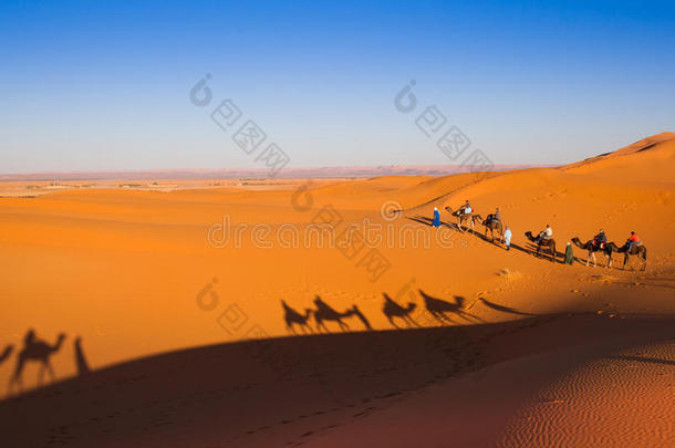 西撒哈拉沙漠骆驼之旅
