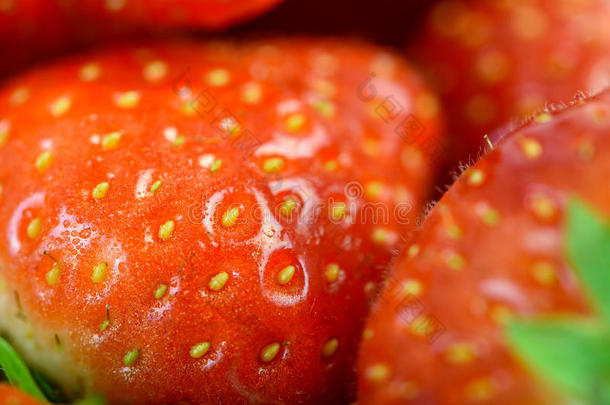 水果市场<strong>上新</strong>鲜的<strong>红色</strong>草莓