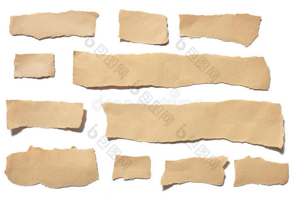 收集真实的棕色纸，在白色背景下撕破或撕破的纸张