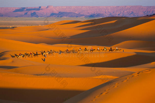 西撒哈拉<strong>沙漠</strong>骆驼之旅