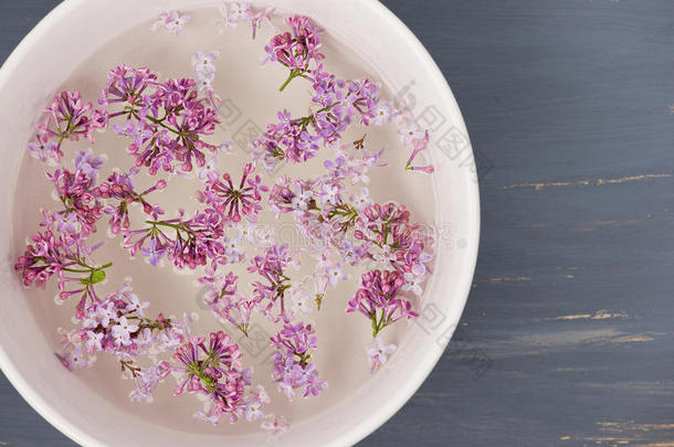 新鲜的丁香花花瓣漂浮在水中，在白色陶瓷碗中，蓝色的背景上。