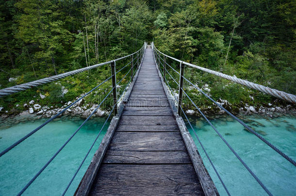 斯洛文尼亚特里格拉夫国家公园索卡河上的桥梁