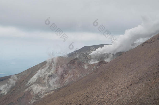 <strong>汤加</strong>里罗山特马里火山口喷发。 <strong>汤加</strong>里罗过境点