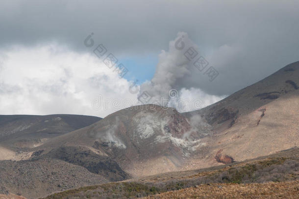 <strong>汤加</strong>里罗山特马里火山口喷发。 <strong>汤加</strong>里罗过境点