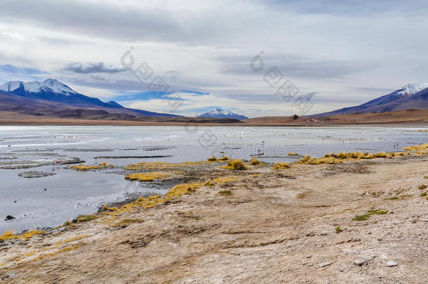 玻利维亚安第斯高原上五颜六色的泻湖