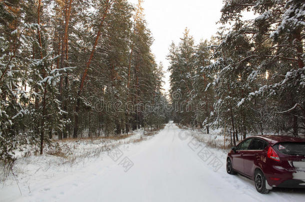 <strong>冰雪森林</strong>中的冬季道路