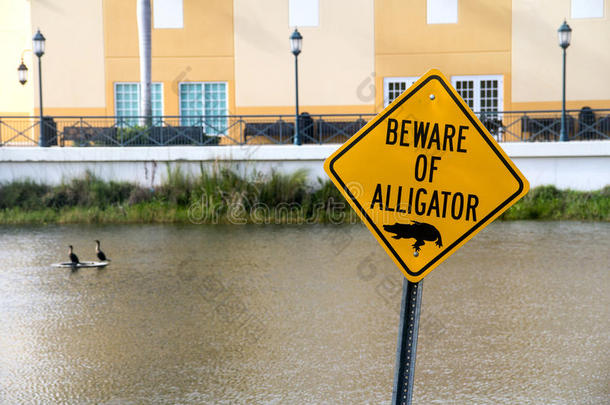 小心鳄鱼警告警告标志