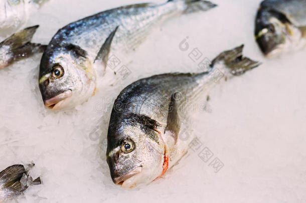 新鲜鱼多拉多在冰上的市场商店