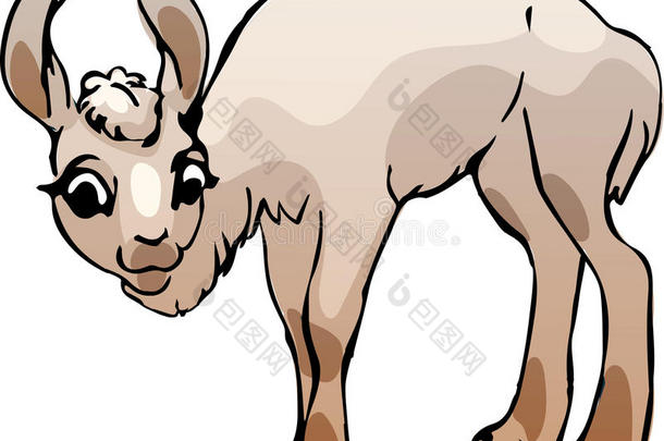 <strong>羊</strong>驼动物艺术棕色的骆驼