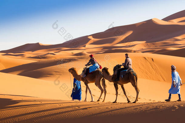 沙漠沙子上的骆驼车队