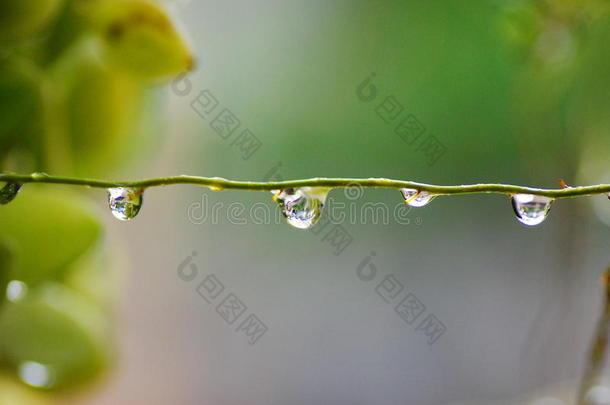 之后雨后和水生的背景