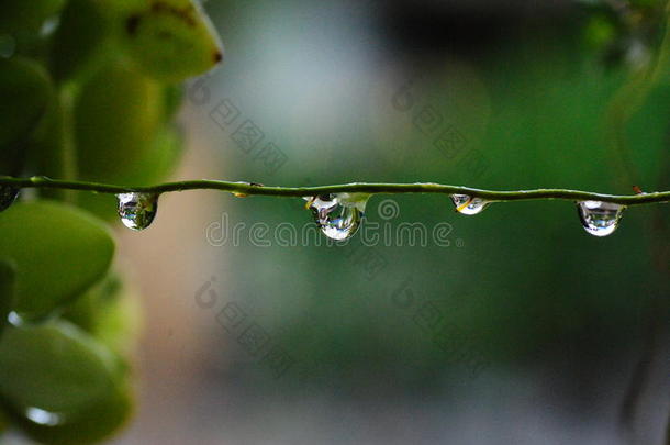 之后雨后和水生的背景