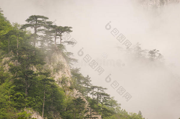 之后背景巴尔干半岛美丽的美女