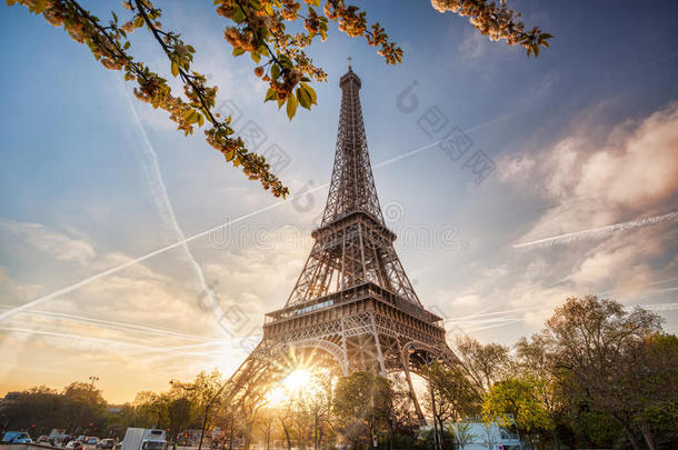 埃菲尔铁塔与<strong>春天的树木</strong>在巴黎，法国