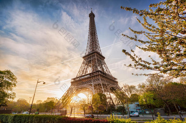 埃菲尔铁塔与春天的树木在巴黎，法国