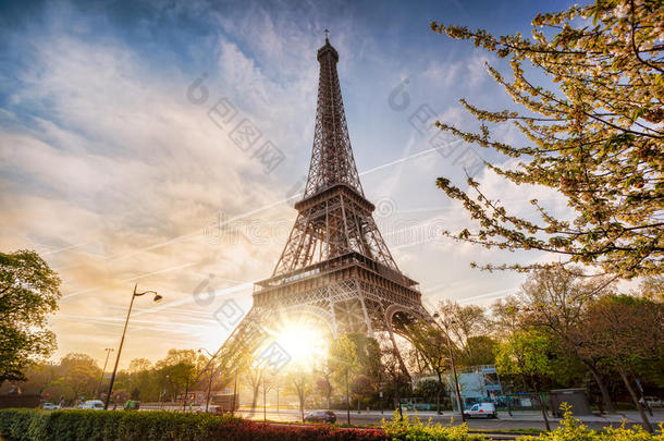 埃菲尔铁塔与<strong>春天的树木</strong>在巴黎，法国