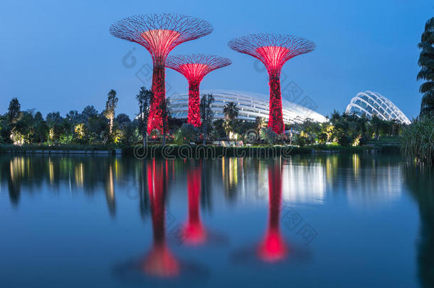 花园由海湾阿凡达湖，河流花园，湖泊景观，夜河