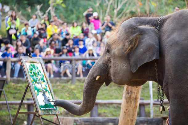 大象画在纸上的大象表演，泰国
