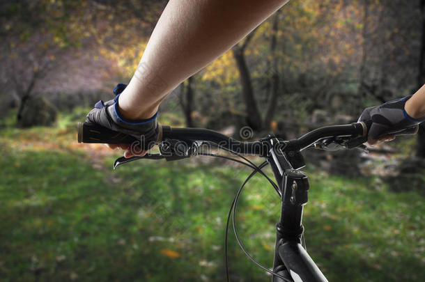 双手戴手套，拿着自行车的把手。 山地自行车骑单车者骑单车。 健康的生活方式，积极的运动员