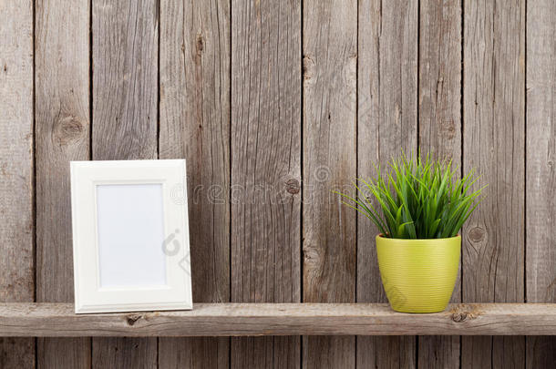 空白相框和植物