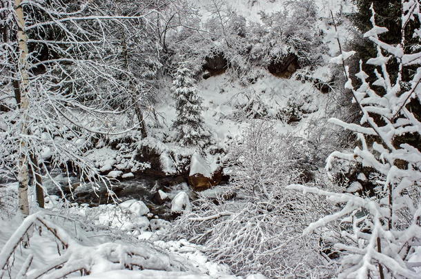 山上的雪