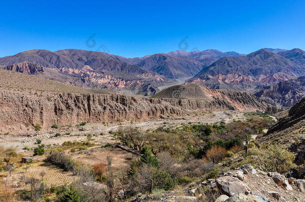 海拔高度美国阿根廷干旱的仙人掌