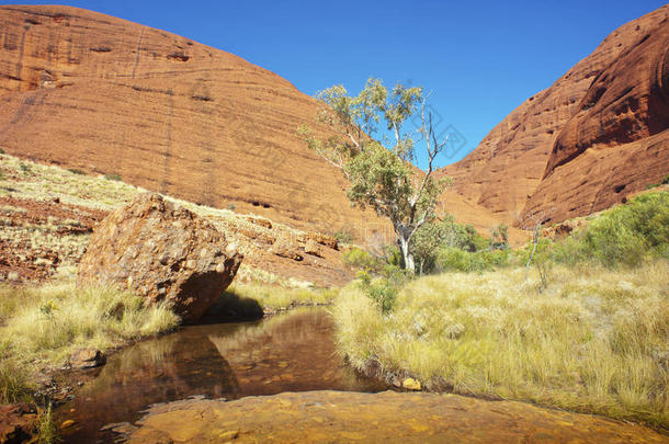 原住民冒险爱丽丝干旱的澳大利亚