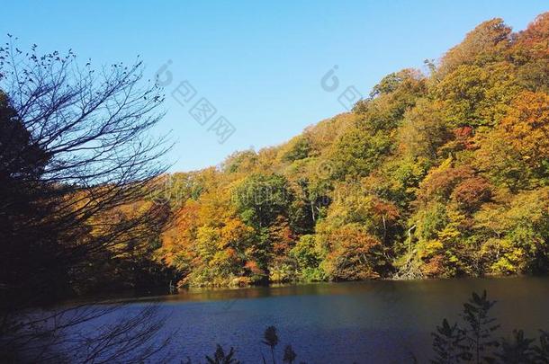 能量日本风景山权力