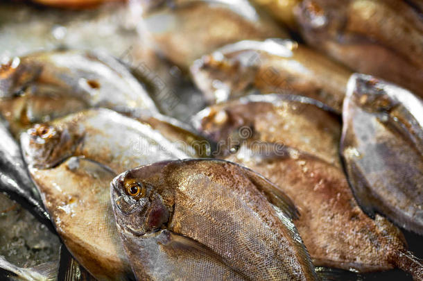 新鲜的生食。 市场上的鱼。 海鲜。 健康营养。
