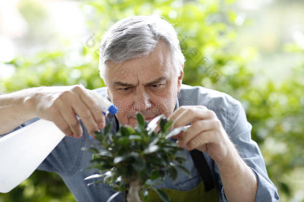 老年人浇水植物