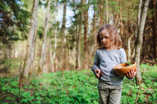 在早春森林里探索大自然的女孩。 孩子们学会热爱大自然。 教孩子们关于季节变化的知识。
