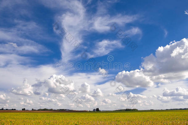 辽阔的天空覆盖着丰收的田野