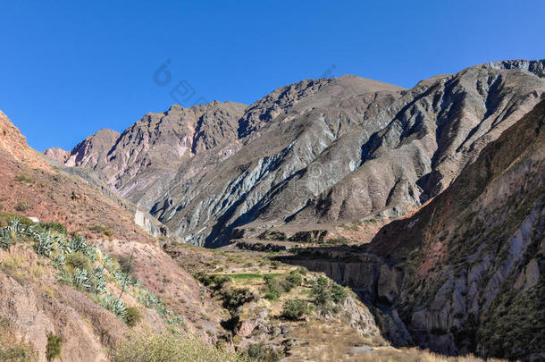 海拔高度美国阿根廷干旱的丰富多彩的