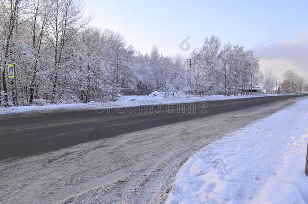 冬季雪景