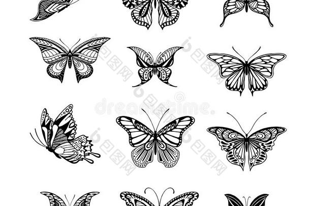 蝴蝶图形插图