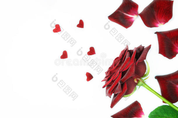 深红色玫瑰，花瓣和小心形
