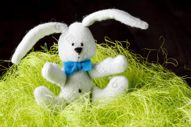 复活节兔子在的复活节兔子