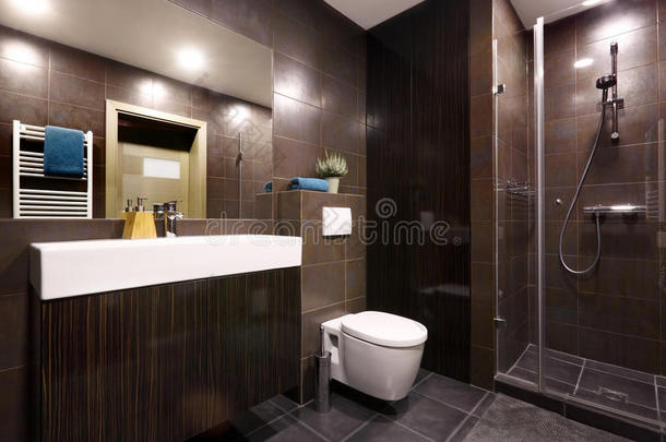 公寓建筑学洗澡浴室棕色的
