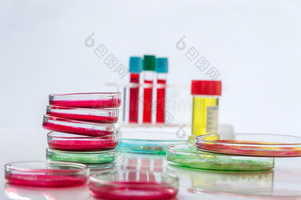 白蛋白分析细菌生物化学生物学的
