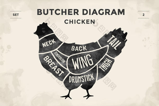 切肉套装。 海报屠夫图和方案-鸡肉。 老式打字手绘。 矢量插图。