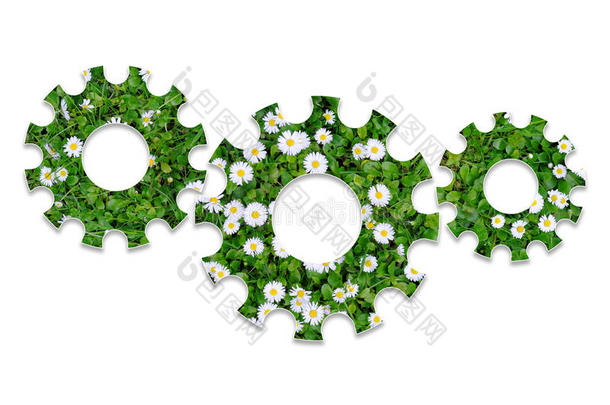 用白色的花从绿色的草地上钻出来的齿轮或齿轮