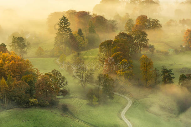 雾蒙蒙的秋天早晨，有美丽的生机勃勃的温暖色彩。