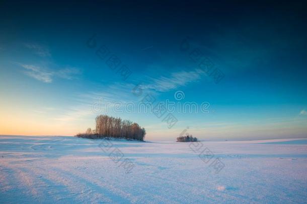 美丽的寒冷的早晨在下雪的冬天的乡村。